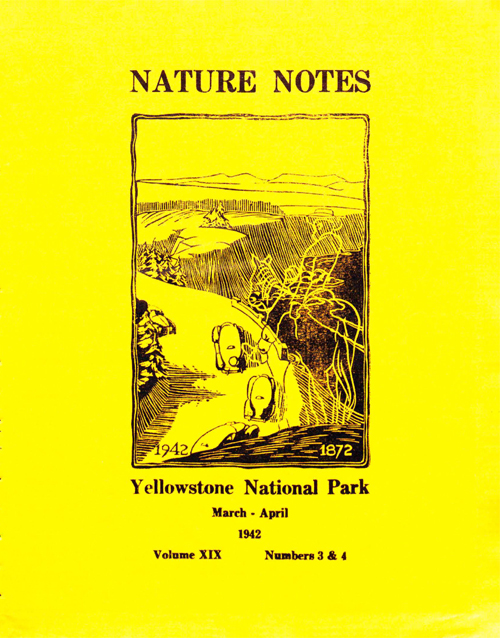 issue cover