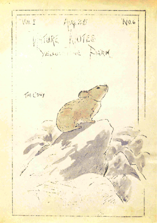 issue cover