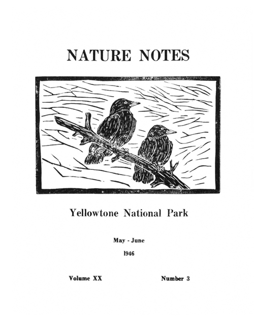 issue cover