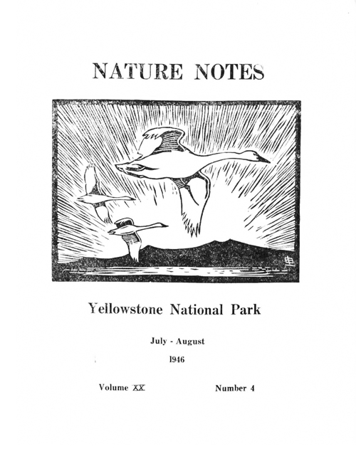 issue cover