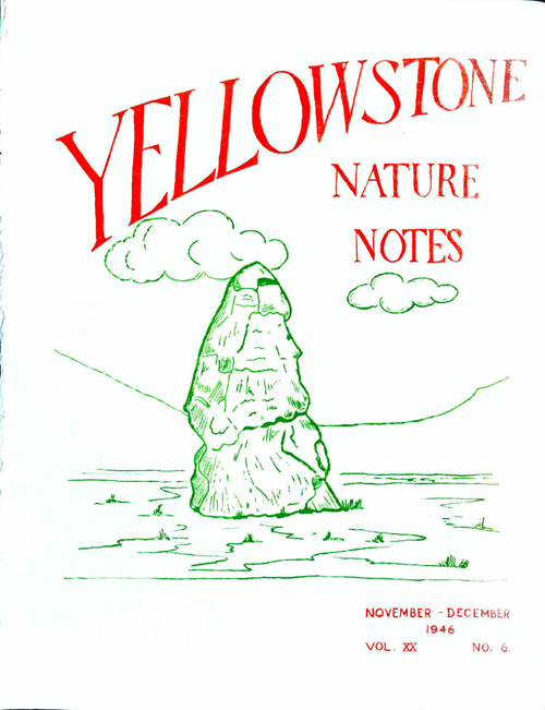 issue cover