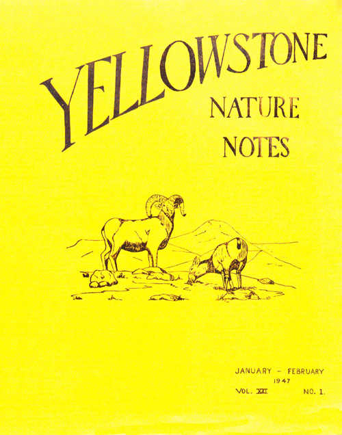 issue cover