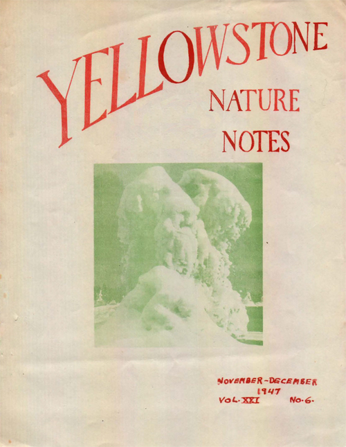 issue cover