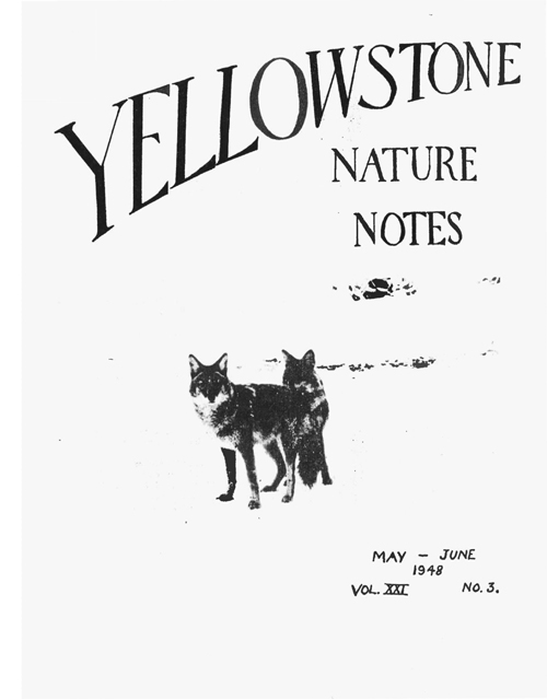 issue cover