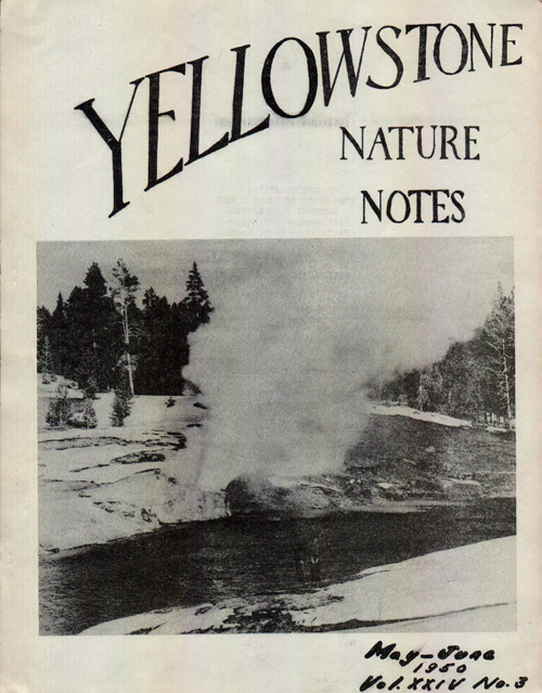issue cover
