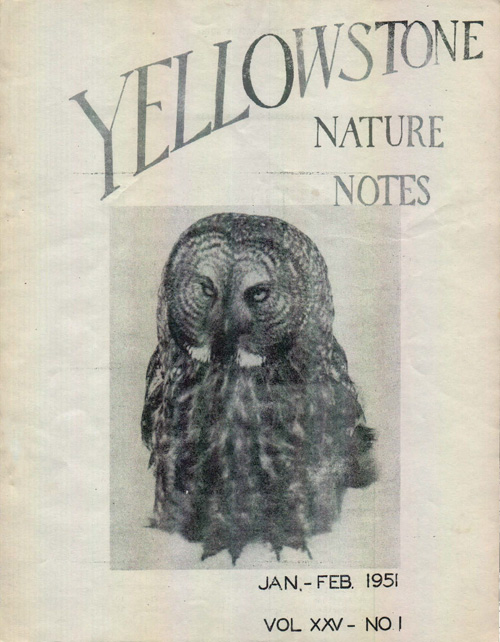 issue cover