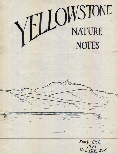 issue cover