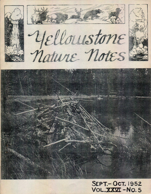 issue cover