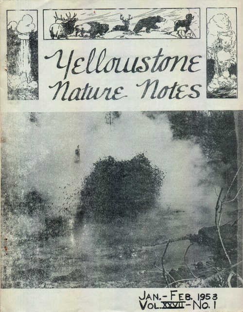issue cover