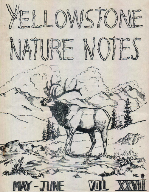 issue cover