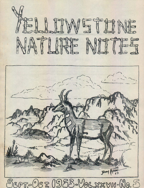 issue cover