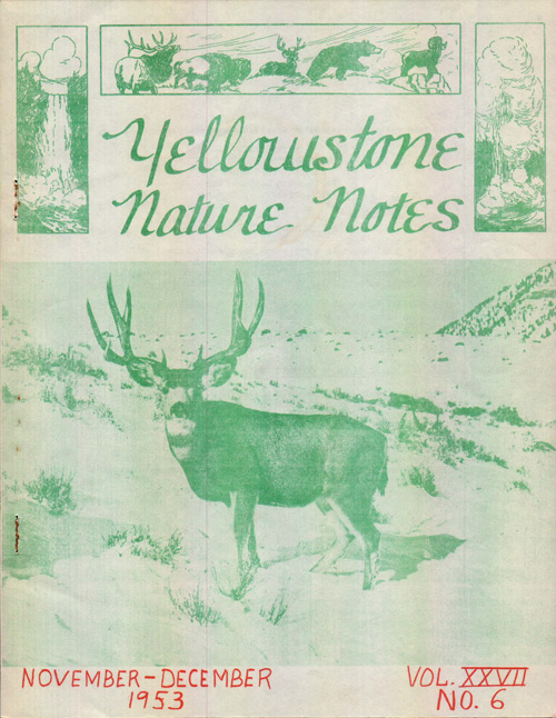 issue cover