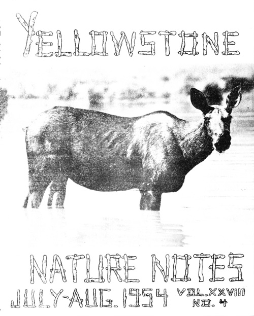 issue cover