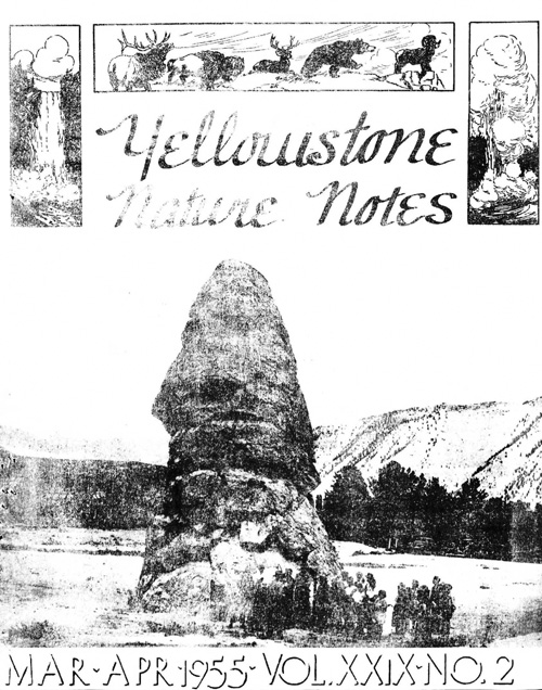 issue cover
