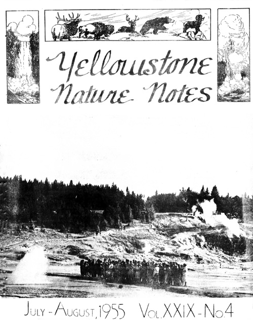 issue cover