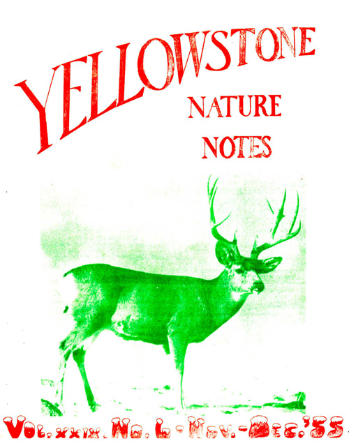 issue cover