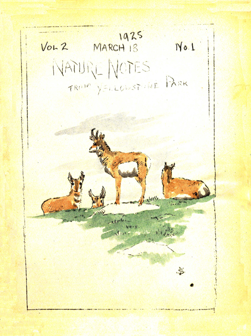 issue cover