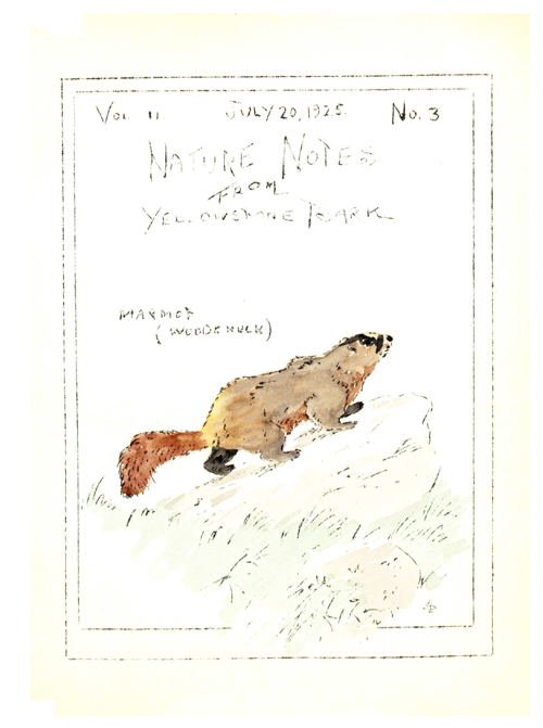 issue cover