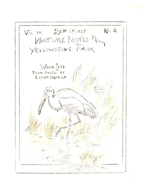 issue cover