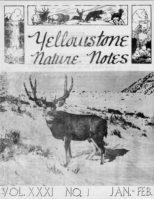 issue cover