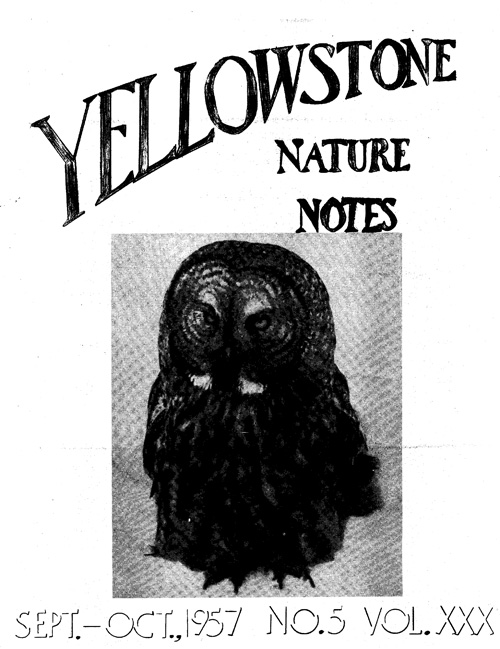 issue cover