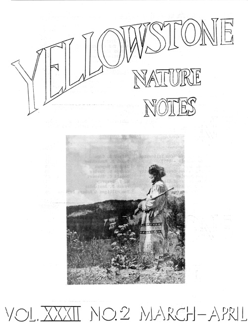 issue cover
