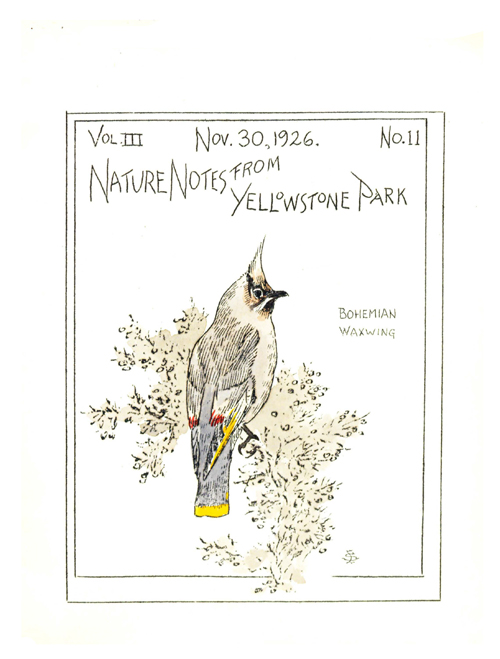 issue cover