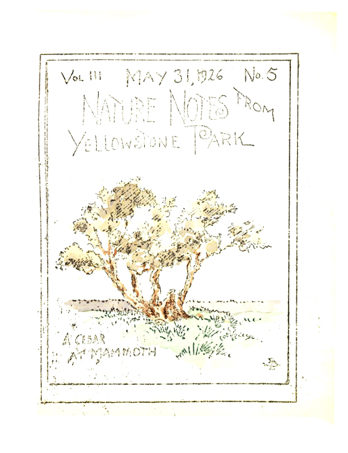 issue cover
