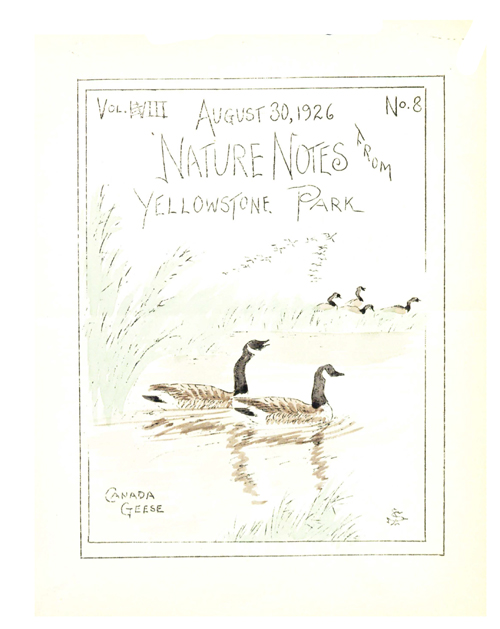 issue cover
