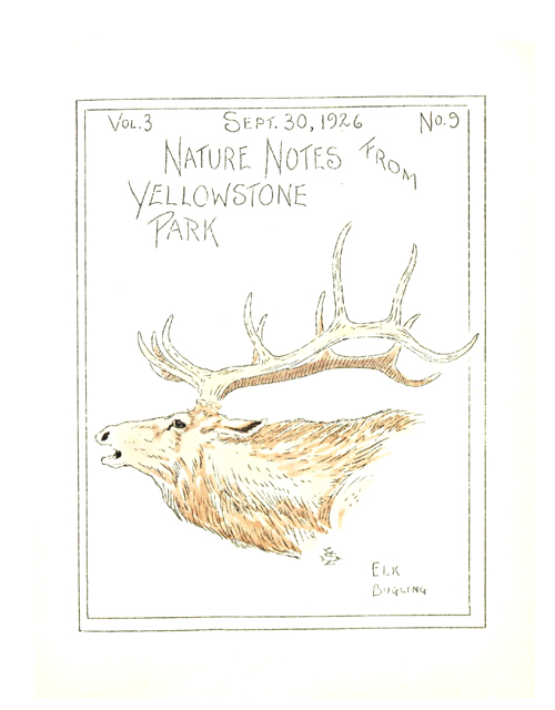 issue cover