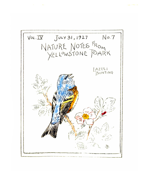 issue cover