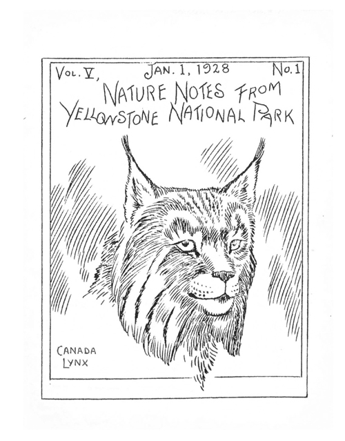 issue cover