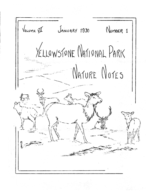 issue cover