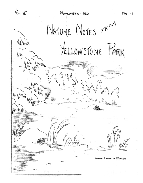 issue cover