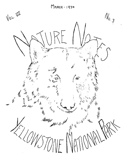 issue cover