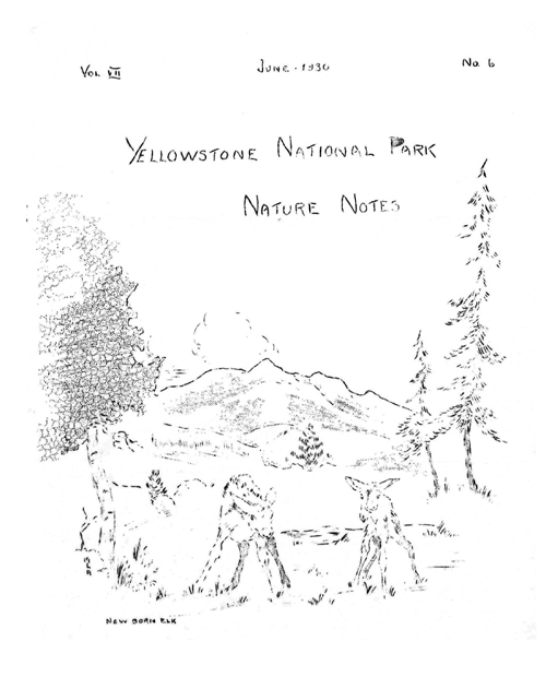issue cover