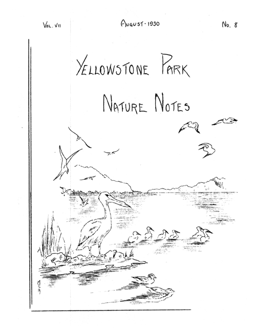 issue cover