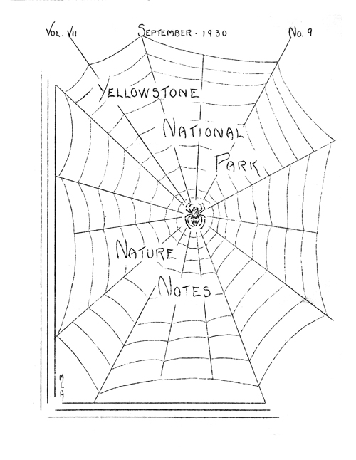 issue cover