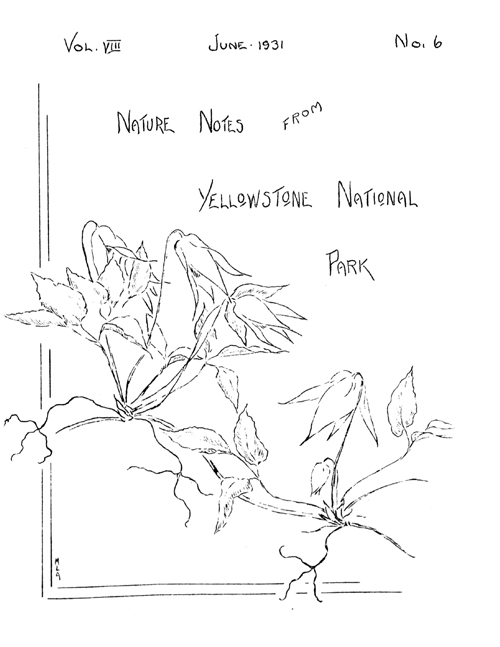 issue cover
