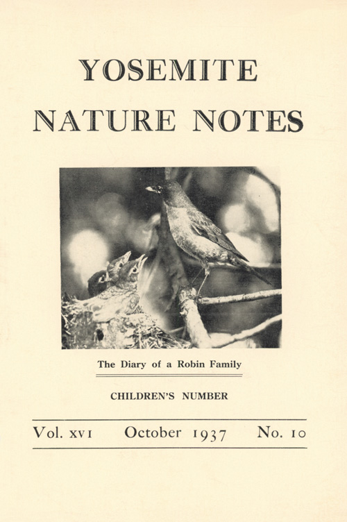 issue cover