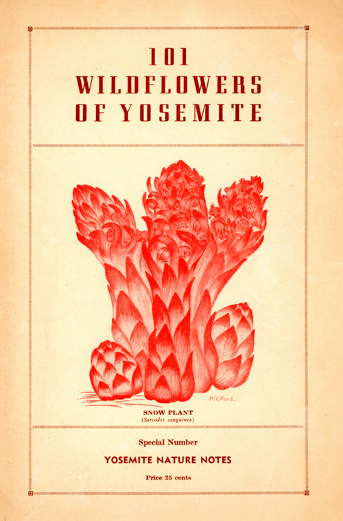 issue cover