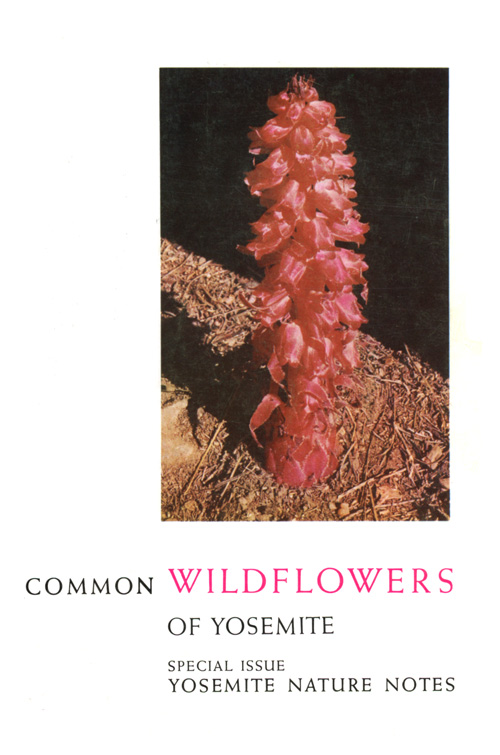 issue cover