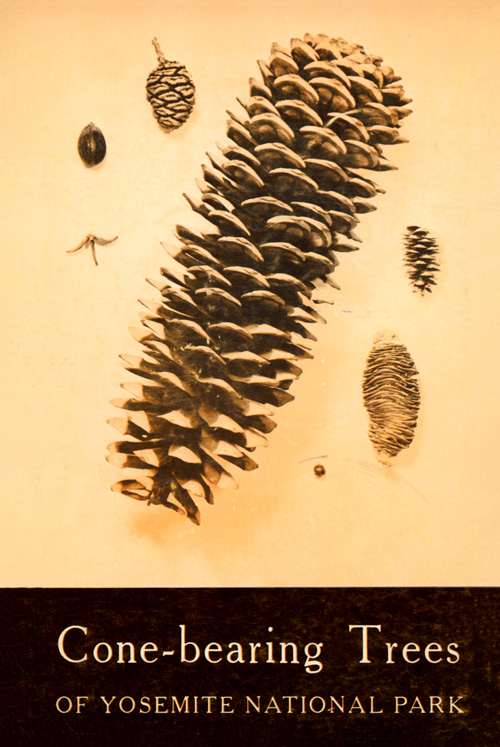 issue cover