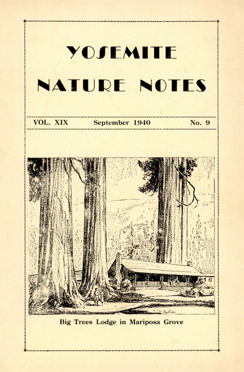 issue cover