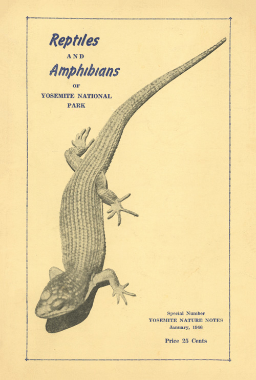 issue cover