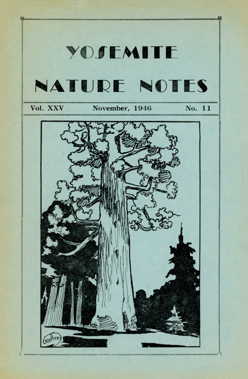 issue cover