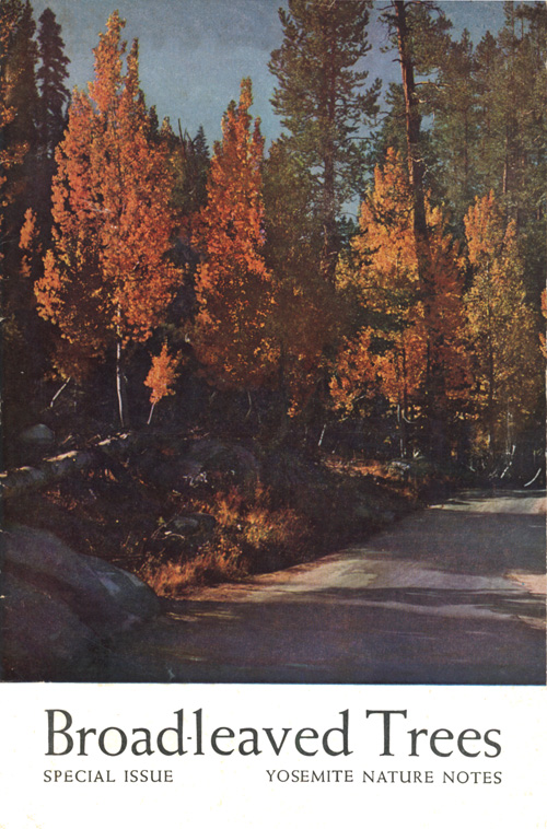 issue cover