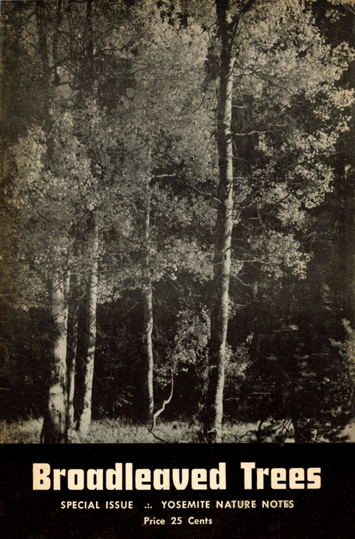issue cover