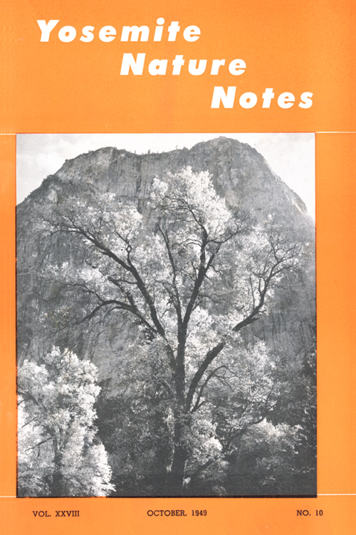 issue cover