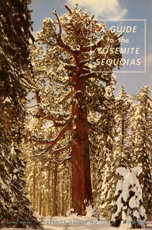 issue cover